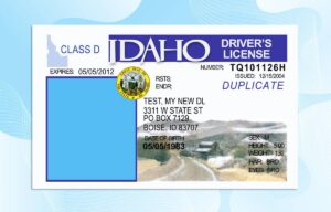Editable Idaho Drivers License Template