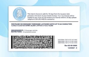 Editable Alabama drivers license Template