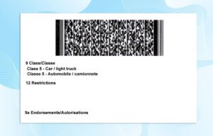 Editable Alaska drivers license Template
