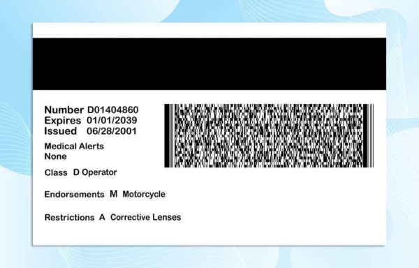 Editable Arizona drivers license Template