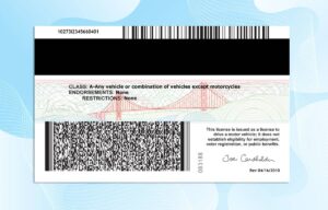 California Drivers License PSD Template