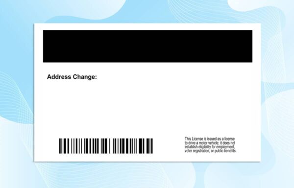 California Drivers License Template