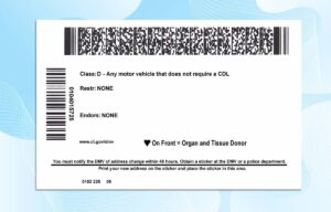Editable Connecticut Drivers License Template