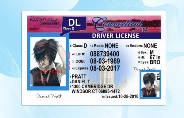 Editable Connecticut Drivers License Template
