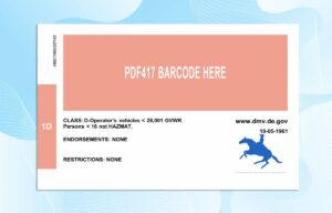 Editable Delaware Drivers License Template