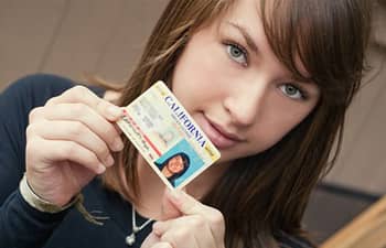 USA drivers license template