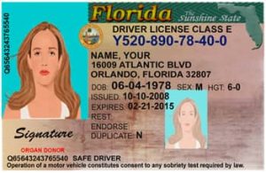Florida Drivers License Template