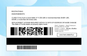Florida Drivers License PSD Template