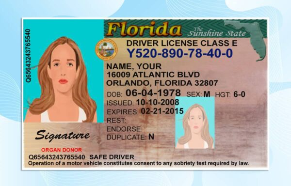 Florida Drivers License Template