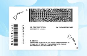 Editable Hawaii Drivers License Template