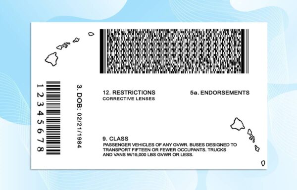 Editable Hawaii Drivers License Template