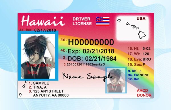 Editable Hawaii Drivers License Template