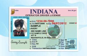 Editable Indiana Drivers License Template