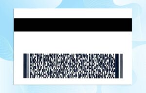 Kentucky Drivers License Template - Photoshop File