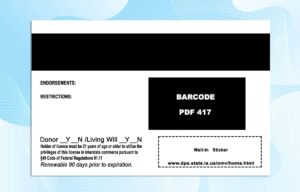Editable Louisiana Drivers License Template