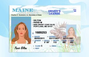 Editable Maine Drivers License Template