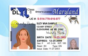 Editable Maryland Drivers License Template