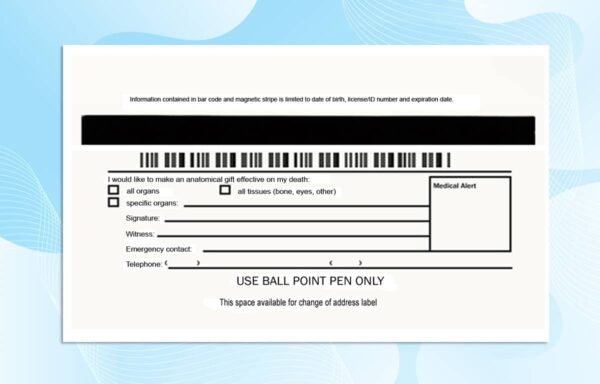 Editable Michigan Drivers License Template
