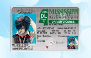 Editable Mississippi Drivers License Template