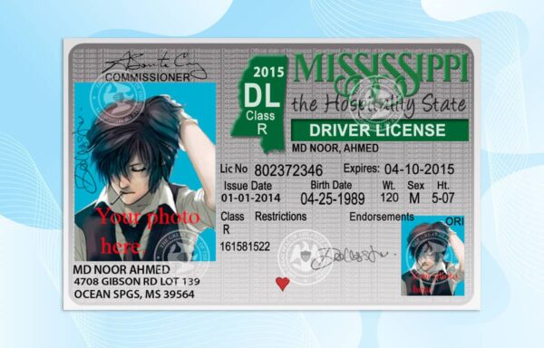 Editable Mississippi Drivers License Template