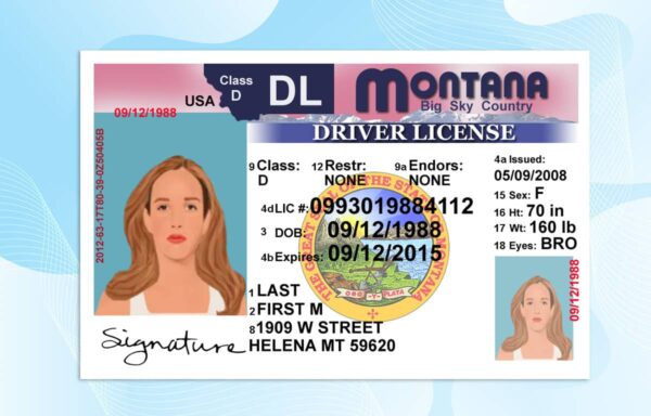 Editable Montana Drivers License Template