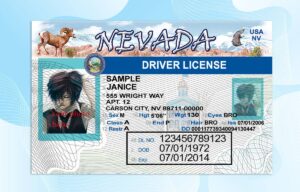 Editable Nevada Drivers License Template