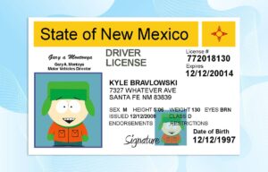 Editable New Mexico Drivers License Template