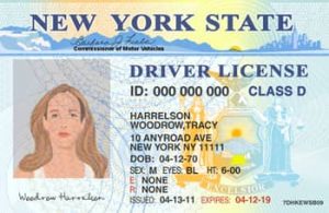New York Drivers License Template