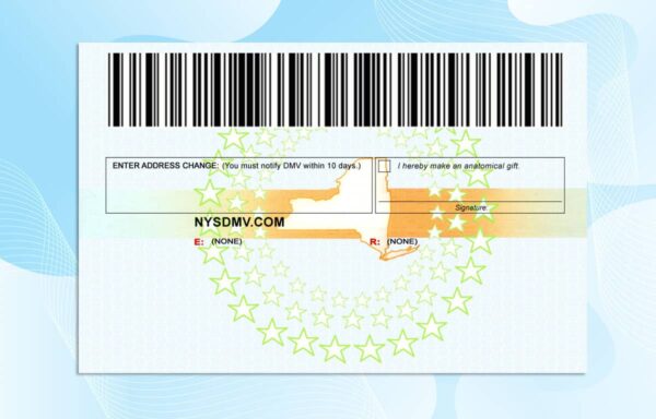 New York Drivers License Template - Fully Editable