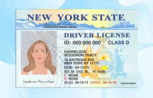 New York Drivers License Template - Fully Editable