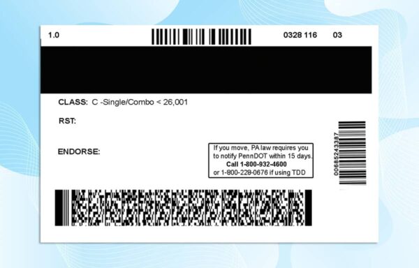 Editable Pennsylvania Drivers License Template