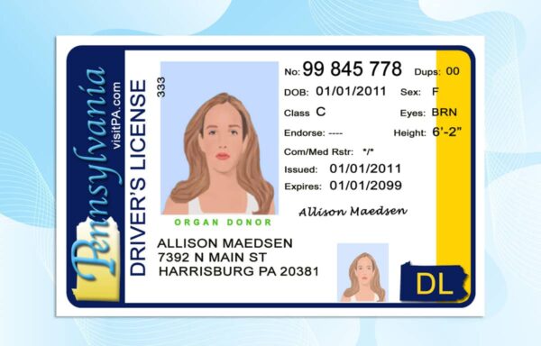 Editable Pennsylvania Drivers License Template