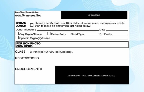 Editable Tennessee Drivers License Template