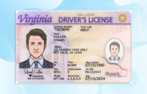 Editable Virginia Drivers License Template