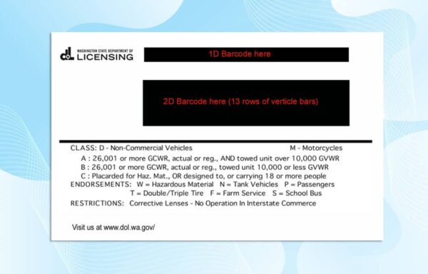 Editable Washington Drivers License Template