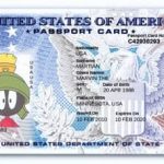 USA Passport Card Template