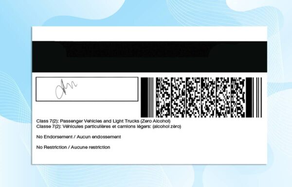Editable Canada Brunswick Drivers License Template