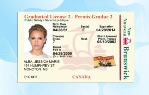 Editable Canada Brunswick Drivers License Template