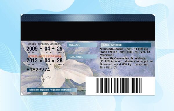 Editable Canada Ontario Drivers License Template