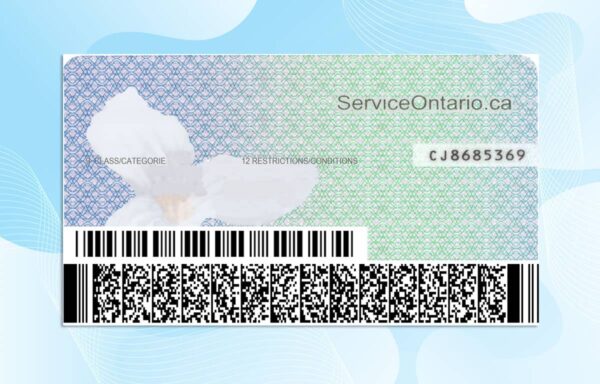 Editable Canada Ontario Drivers License Template