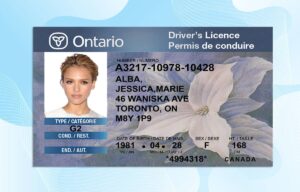 Editable Canada Ontario Drivers License Template