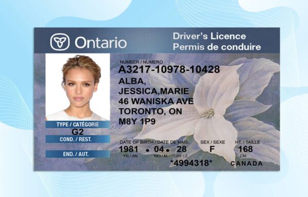 Editable Canada Ontario Drivers License Template
