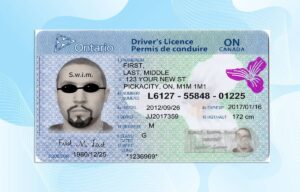 Editable Canada Ontario Drivers License Template