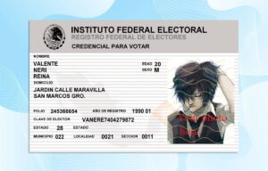 Editable Mexican IFE Card PSD Template