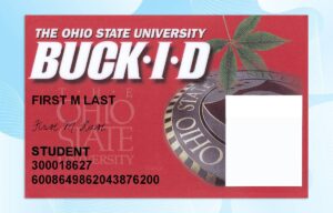 Editable Ohio State University ID PSD Template