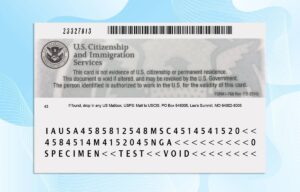 Editable USA Employment Authorization Card PSD Template