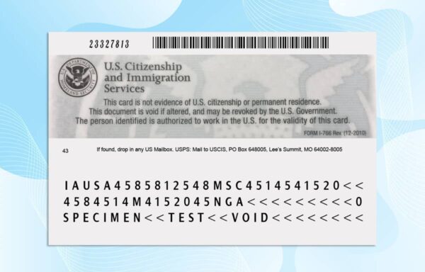 Editable USA Employment Authorization Card PSD Template