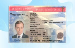 Editable USA Employment Authorization Card PSD Template