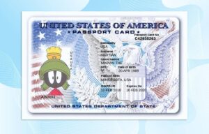 Editable USA Passport Card Template