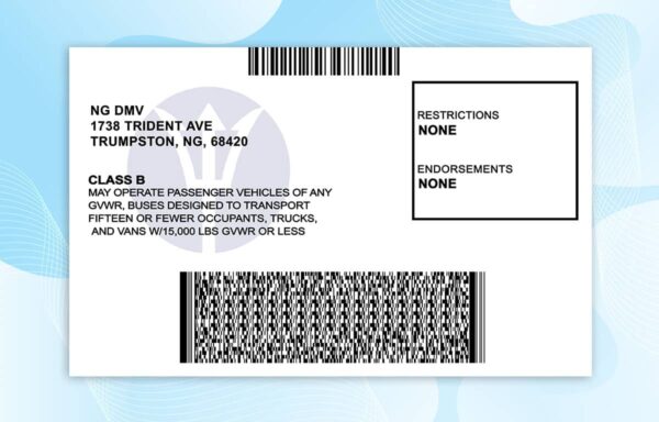 Editable North Virginia Drivers License Template